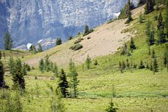 16 We Were Stopped Briefly As A Bear Walked From Our Trail Around This Hill On Hike To Mount Assiniboine